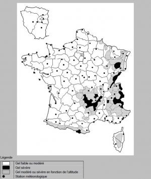 carte des zones de gel en France